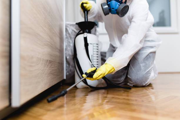 Trusted Georgetown, IN Pest Control Experts