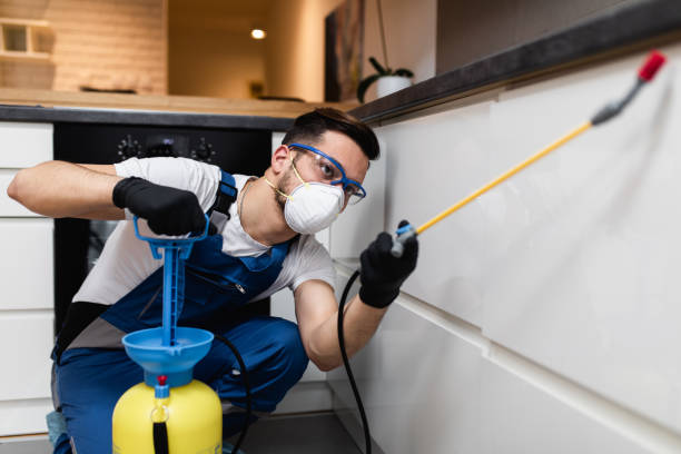 Best Flea Control Services  in Georgetown, IN