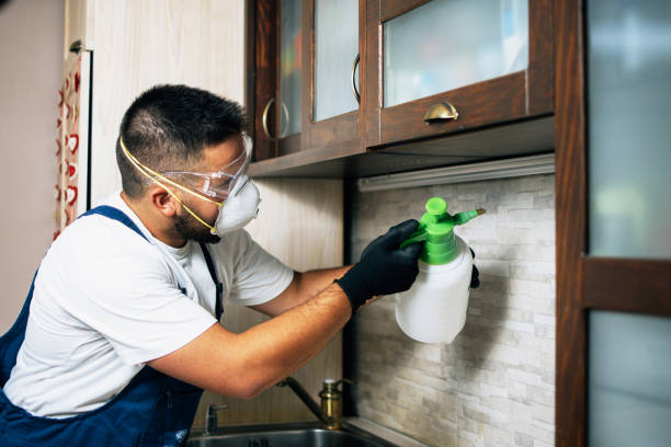 Best Exterminator Services  in Georgetown, IN