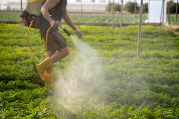 Best Wildlife Control Services  in Georgetown, IN