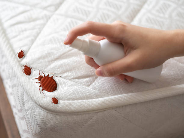Best Cockroach Control Services  in Georgetown, IN