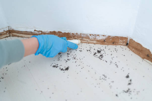 Best Commercial Pest Control Services  in Georgetown, IN