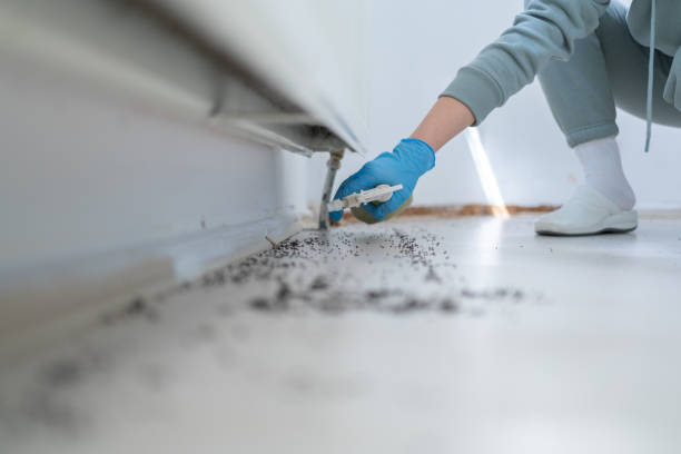 Pest Prevention Services in Georgetown, IN